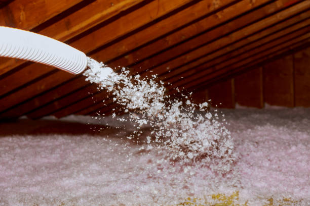 Best Insulation Repair Services  in Hauser, ID