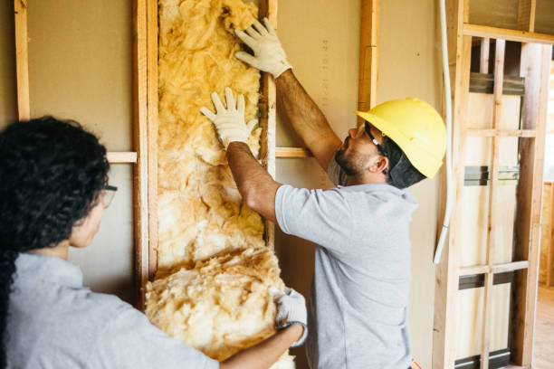 Best Home Insulation Services  in Hauser, ID
